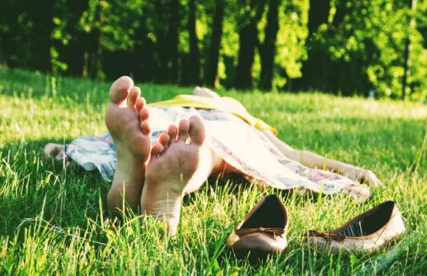 Best Earthing Brands